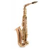 saxofon Eb Alt ROY BENSON AS-202G Student lak