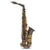saxofon Eb Alt ROY BENSON AS 202K Student antracit
