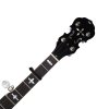 PW CP 11 onBanjo1 hi res