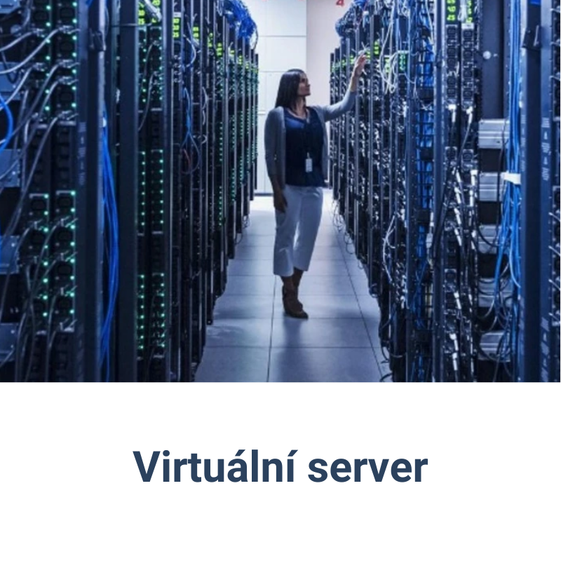 Virtuální server