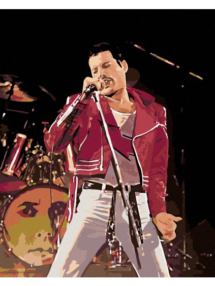 Diamantové malování - FREDDIE NA PÓDIU