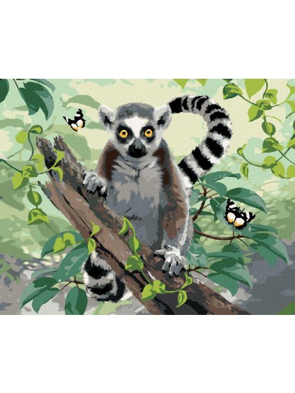 Diamantové malování - LEMUR A MOTÝLI (HOWARD ROBINSON)