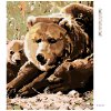 Diamantové malování - MEDVĚDICE S MLÁĎATY