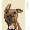 Diamantové malování - PES S NASTRAŽENÝM UCHEM