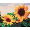 Diamantové malování - SLUNEČNICE I.