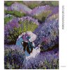 Diamantové malování - ŽENA UPROSTŘED LEVANDULOVÉHO POLE