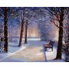 Diamantové malování - LAVIČKA V ZASNĚŽENÉM PARKU