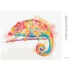 Diamantové malování - BAREVNÝ CHAMELEON NA BÍLÉM POZADÍ