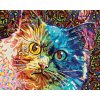 Diamantové malování - BAREVNÁ MALOVANÁ KOČKA