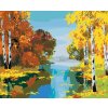 Diamantové malování - LES S BŘÍZAMI U ŘEKY
