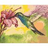 Diamantové malování - KOLIBŘÍK A RŮŽOVÁ KVĚTINA