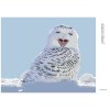 Diamantové malování - ZÍVAJÍCÍ BÍLÁ SOVA