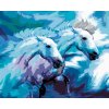Diamantové malování - DVA KONĚ V MODRÉ