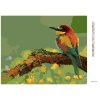 Diamantové malování - MALÝ BAREVNÝ PTÁČEK SE ŠPIČATÝM ZOBÁKEM