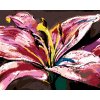 Diamantové malování - VELKÁ RŮŽOVÁ LILIE
