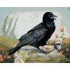 Diamantové malování - HAVRAN A KÁVA (HOLLY SIMENTAL)