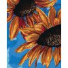Diamantové malování - SLUNEČNICE A NEBE (ALEXANDRIA GILBERT)