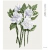 Diamantové malování - BÍLÉ KVĚTY GARDÉNIE (ALEXANDRIA GILBERT)