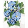 Diamantové malování - MODRÉ KVĚTY POVÍJNICE (ALEXANDRIA GILBERT)