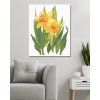 Diamantové malování - ŽLUTÉ NARCISY (ALEXANDRIA GILBERT)