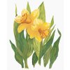 Diamantové malování - ŽLUTÉ NARCISY (ALEXANDRIA GILBERT)
