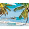 Diamantové malování - PLÁŽ S HOUPAČKOU MEZI PALMAMI (TED DAVIS)