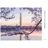 Diamantové malování - ROZKVETLÝ STROM WASHINGTŮV MONUMENT (TED DAVIS)