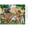 Diamantové malování - ZVÍŘATA NA FARMĚ (HOWARD ROBINSON)