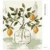 Diamantové malování - CITRÓNY VE VÁZE 5 (HALEY BUSH)