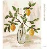 Diamantové malování - CITRÓNY VE VÁZE 4 (HALEY BUSH)