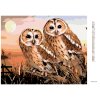 Diamantové malování - SOVY - PUŠTÍK OBECNÝ (HOWARD ROBINSON)
