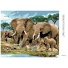 Diamantové malování - SLONI NA SAVANĚ (HOWARD ROBINSON)