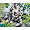 Diamantové malování - BÍLÝ TYGR A DVĚ MLÁĎATA (HOWARD ROBINSON)