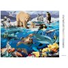 Diamantové malování - ZVÍŘATA V OCEÁNU (HOWARD ROBINSON)
