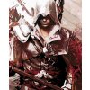 Diamantové malování - ASSASSIN 02