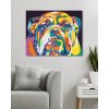 Diamantové malování - BAREVNÝ BULLDOG