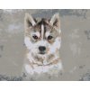 Diamantové malování - HUSKY NA ŠEDÉM POZADÍ