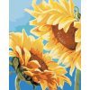 Diamantové malování - DVĚ SLUNEČNICE (MYROSLAVA VOLOSCHUK)