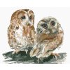 Diamantové malování - DVĚ SOVY NA BÍLÉM POZADÍ