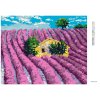 Diamantové malování - LEVANDULOVÉ POLE S MALOU CHATKOU UPROSTŘED