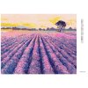 Diamantové malování - LEVANDULOVÉ POLE SE STROMEM