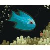 Diamantové malování - MODRÁ RYBKA