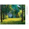 Diamantové malování - VZDUŠNÝ LES