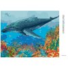 Diamantové malování - VELRYBA A KORÁLOVÝ ÚTES