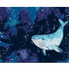 Diamantové malování - VELRYBA PLAVE PO NOČNÍ OBLOZE