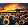 Diamantové malování - POLE PLNÉ SLUNEČNIC