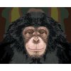 Diamantové malování - PORTRÉT ŠIMPANZE