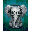 Diamantové malování - SLON S BRÝLEMA A SLUCHÁTKAMA