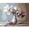 Diamantové malování - MAGNÓLIE 4