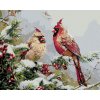 Diamantové malování - PTÁK KARDINÁL NA VĚTVI A ČERVENÉ PLODY
